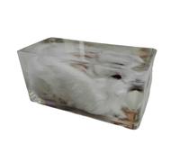 FHUILIJH Vrai Lapin spécimen Animal incorporé spécimen Presse-Papier spécimens de Classe de Sciences pour l'enseignement des Sciences,Clear,18cm