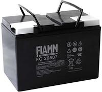 Fiamm Batterie au plomb fg26505, 12 V plomb-acide