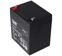 FIAMM Batterie au plomb rechargeable FG20451