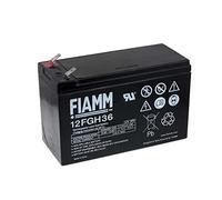 FIAMM Batterie au plomb rechargeable FGH20902 (hochstromfest)