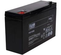 FIAMM Batterie de Remplacement pour modélisme de Bateaux, Camping comme Passe-Temps 6V 12Ah (substituts 10Ah), 6V, Lead-Acid [ Batterie au Plomb ]