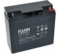 Fiamm Batterie d'origine 12 V 17 Ah fg21703/FG21803 compatible avec FR2 : lb352612 GP - 12170 GP12170 CSB GP12170
