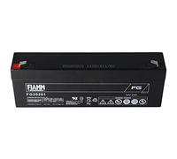 Fiamm FG20201 Batterie gel-plomb 12 V 2 Ah