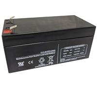 Fiamm FG20341 Remplacement Batterie au Plomb scellée