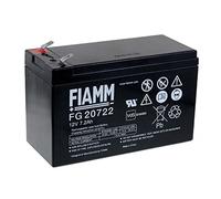 Fiamm FG20722 Batterie Plomb-Acide 12 V 7200 mAh