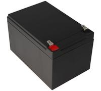 Fiamm FG21202 Batterie 12Ah avec contacts enfichables 6,3mm