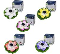 FIAP 3206-6 SOLAR ACTIVE WaterLily 5er SET Lampe décorative solaire fleur jeu de 5 LED LED intégrée blanc, jaune, rouge, rose, lilas