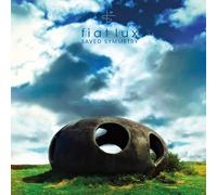 Fiat Lux - Saved Symmetry