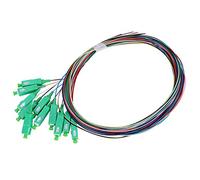 Fibre monomode, câble de Queue de Cochon à 12 cœurs pour système de Communication de réseaux pour SC-0,9 mm