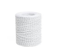 Ficelle de 200 m pour décoration florale, fil de vigne rustique, fil flexible pour mariage, couronnes de fleurs, couronnes de tête, guirlandes, arrangements floraux (blanc)