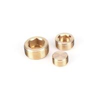 Fiche à douille hexagonale en laiton Bouchon d'extrémité à six pans creux en laiton, filetage mâle BSP NPT, M5 M6 M8 M10 M12 M14 M16 M18 M20 M22 1/8" 1/4" 3/8" 1/2" 3/4" 1"(M18x1.5)