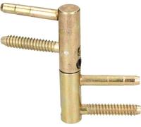 KOTARBAU Charnière de porte universelle en laiton robuste - 14/16/20 mm - Tête cylindrique réglable (14 mm) - Doré