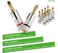 Fiche Banane 8er-Set pour Câble Jusqu'À 6mm ² 24k Fiche Plaquée Or