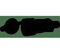 Fiche caoutchouc noire 2P+T 16 A Legrand BRI-100843