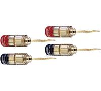 Fiche haut-parleur mâle, droit Oehlbach 3022 rouge, noir 4 pc(s)