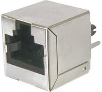 Fiche modulaire femelle, RJ45, CAT 6 ASSMANN WSW AMJ-188-10101-CAT6 RJ45 embase femelle, verticale RJ45 - structure normale Pôle