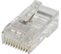 Fiche modulaire mâle econ connect MPL10/10R RJ48 mâle, droit Pôle: 10 transparent(e)