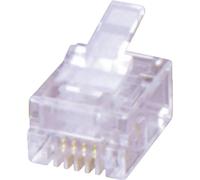 Fiche modulaire mâle RJ12 MH Connectors MHRJ126P6CR 6510-0104-04 RJ12 mâle, droit Pôle: 6P6C transparent