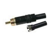 Fiche - Velleman - rca - doree - anneau noir Noir