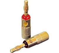 Set de fiches Banane Dynavox 205095 4 pc(s)