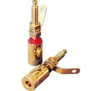 Dynavox Fiche banane 205096 4 pc(s)