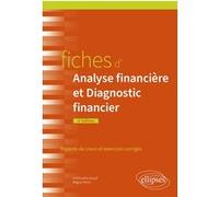 Fiches d'Analyse financière et Diagnostic financier Christophe Goupil (Auteur), Maguy Perrin (Auteur)