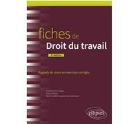 Fiches de Droit du travail Laurence Fin-Langer (Auteur), Fanny Gabroy (Auteur), Marie-Noëlle Rouspide-Katchadourian (Auteur)