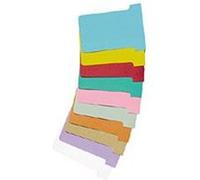 Nobo, Lot de 100 fiches T pour planning, Indice 1, Rose, 2001008