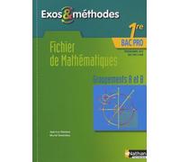 Fichier De Mathématiques 1e Bac Pro Groupements A Et B - Programme 2010