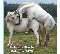Fickende pferde kalender 2026