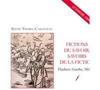 Fictions Du Savoir, Savoirs De La Fiction - Flaubert, Goethe, Melville