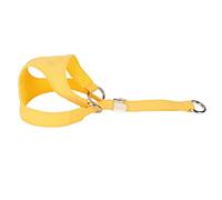 Fictory Harnais pour chien avec maille respirante et gilet rembourré en nylon pour petits chiots et chats, une sangle réglable ultra légère favorisant des promenades quotidiennes confortables et