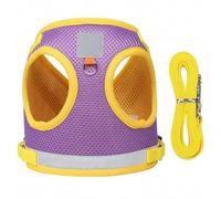 Fictory Harnais pour chien en maille respirante avec laisse, sangle réfléchissante réglable pour la sécurité nocturne et la promenade confortable du chien, violet
