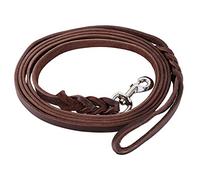 Fictory Laisse de dressage pour chien en cuir tressé durable 2,6 m de long pour chiens Pliable PU Boucle en métal Prise en main confortable pour promenades quotidiennes