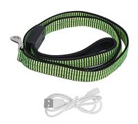 Fictory Laisse LED rechargeable par USB pour chiens de petite et moyenne taille, sécurité nocturne lumineuse, vert