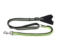 Fictory Laisse réfléchissante pour chien Vert Taille M en nylon durable Double contrôle Sangle de traction pour chien moyen Sécurité nocturne et dressage