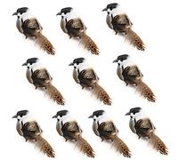 Fictory Lot de 12 oiseaux artificiels réalistes en mousse et plumes avec clip en métal pour sapin de Noël, couronne, fête, jardin et décoration de la maison