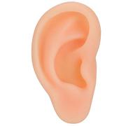Fictory Modèle d'oreille pour la pratique de l'acupuncture, toucher réaliste, outil d'entraînement abordable