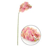 Fictory Orchidée phalaenopsis artificielle 3D, 6 têtes de fleurs sur tige unique, fleurs réalistes en tissu de soie pour décoration murale de maison, mariage, bureau