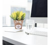 Fictory Plante de basilic artificiel, mini plante artificielle en pot avec nœud, bonsaï de style japonais, feuilles violettes en PVC dans un pot blanc pour décoration de maison et de bureau
