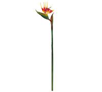 Fictory Strelitzia - Oiseau de paradis artificiel - 81 cm de haut - Arrangement floral orange - Tiges pliables pour décoration d'intérieur, plante tropicale d'intérieur et d'extérieur