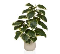 Ficus 3 - Plante artificielle vert - blanc
