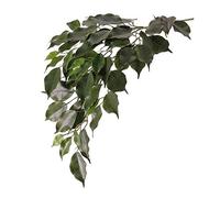 Ficus Artificiel Discount.COM - 61 Feuilles - 77 cm - Difficilement Inflammable - Branches en matériau Artificiel - Branches de décoration