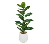 Ficus artificiel en pot Sky H145cm - Atmosphera createur d'interieur