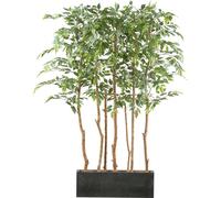 Ficus Benjamina Plante artificielle 160 cm comme séparation de pièce dans une boîte en bois 60x12x20 cm