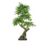 Ficus Benjamini Plante artificielle 170x80cm Espalier vert avec tronc artificiel stable