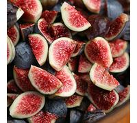 Ficus Brown Turkey en POT | Incroyable Arbre Fruitier Figuier à Feuilles Caduques (20-30 cm avec Pot)