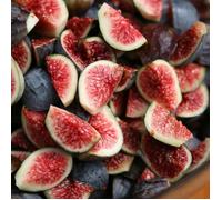 Ficus Brown Turkey en POT | Incroyable Arbre Fruitier Figuier à Feuilles Caduques (20-30 cm avec Pot)