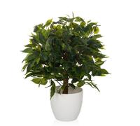 FICUS II - Plante artificielle Vert