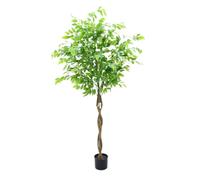Ficus Tree artificiel - 160 cm - Plante artificielle en pot - Grandes plantes côtières - Plante artificielle - Pour l'intérieur et l'extérieur, la maison, le bureau, le jardin - Décoration moderne